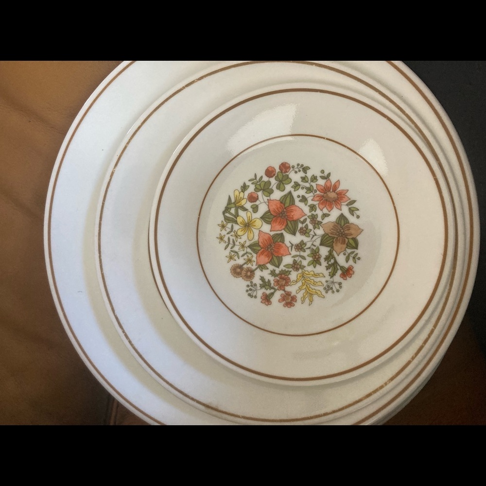 Corelle 1970-80s Indian Springs partial dining set